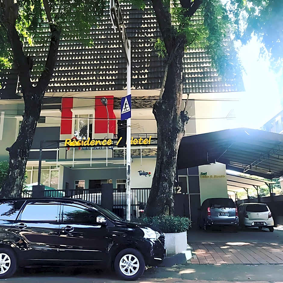 House of Arsonia Tulip