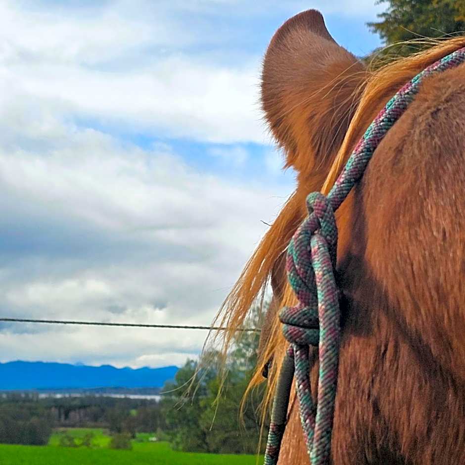 Der Blankhof "Back to Roots"