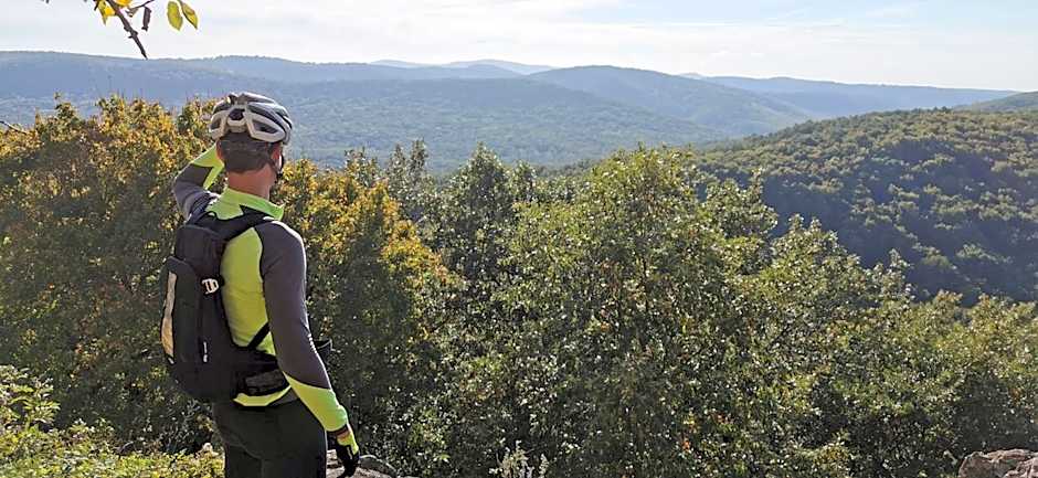 MiLLER's Inn Panzió és Étterem