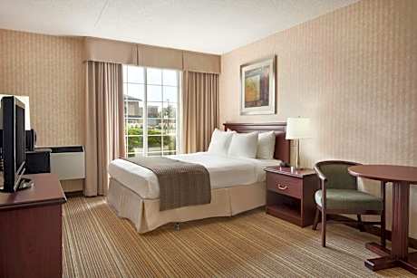 Deluxe King Suite - Non-Smoking