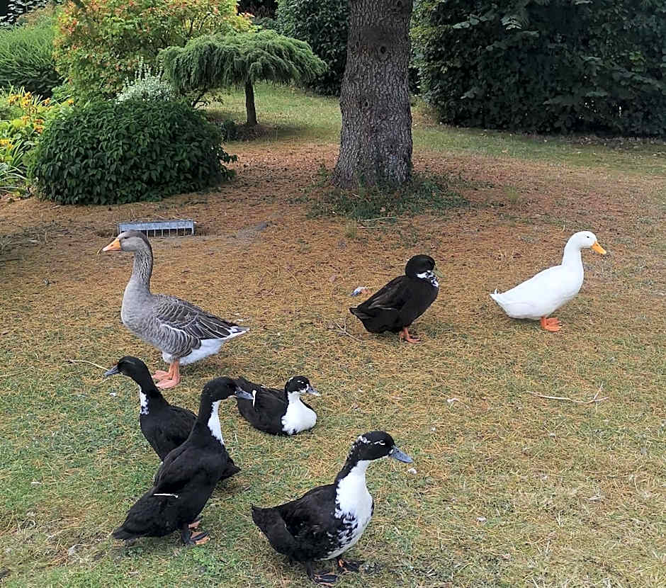 Hôtel La Côte d'Or