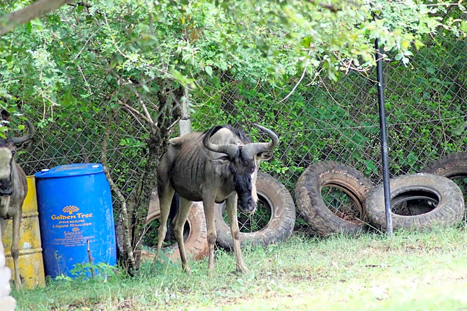 Wag Hill Lodge & Spa