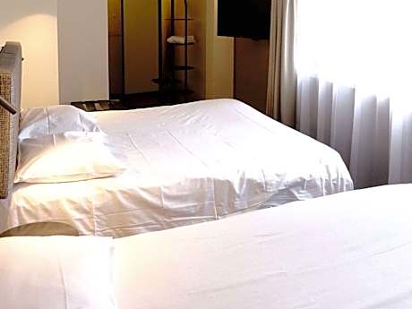 Standard Room with one double bed and one single bed