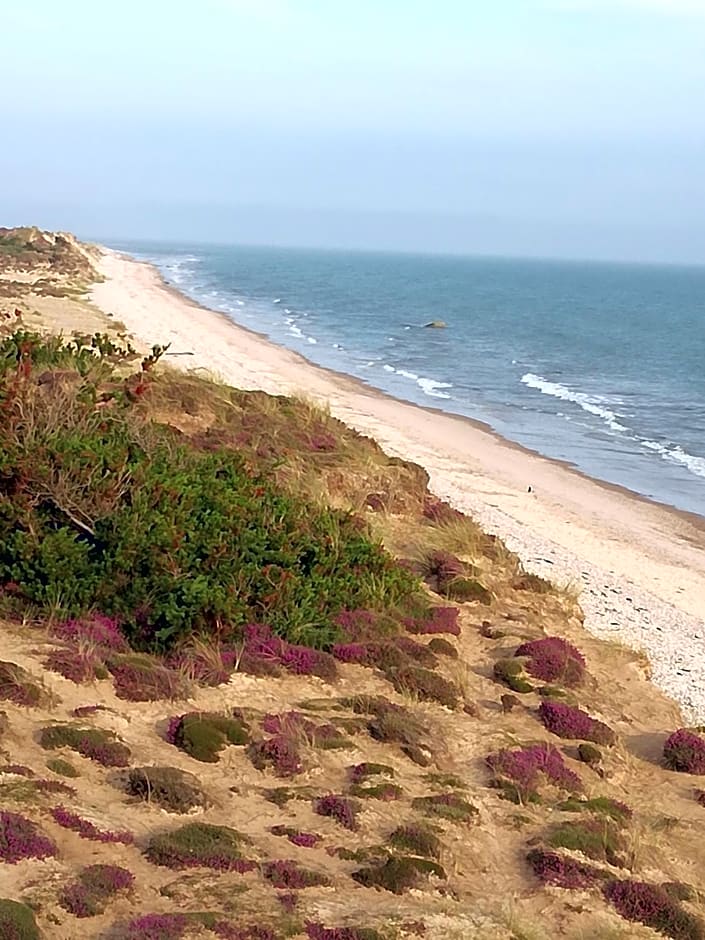 Sunflower Bed & Breakfast
