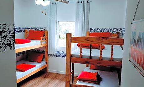 Bunk Bed in Mixed Dormitory Room