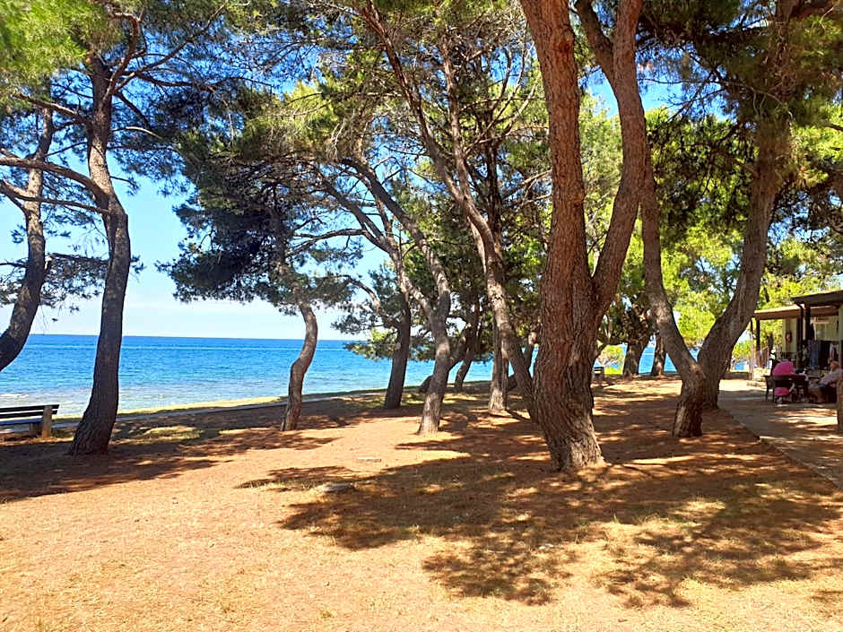 Youth Hostel Pinesta