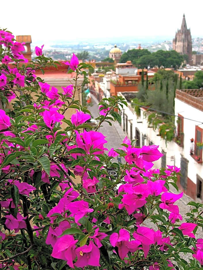 Casa Schuck Boutique Hotel