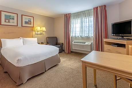 Queen Studio Suite - Hearing Accessible
