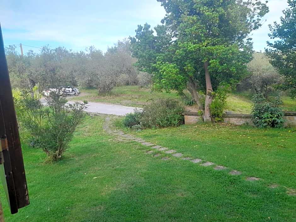 B&B Vallecupa