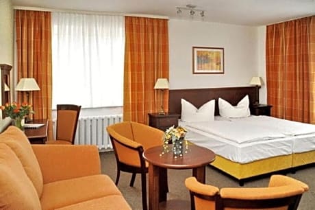 Special Offer - Double Room with New Year's Package