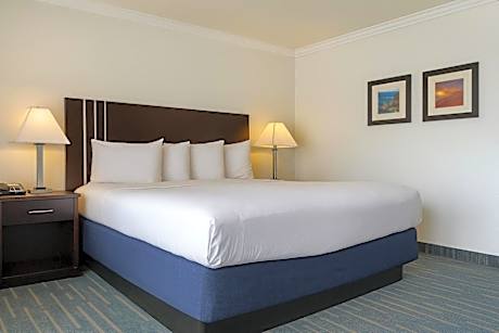 Deluxe King with View