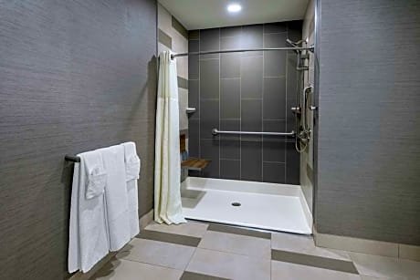 1 King Premium Mobility Accessible Ri Shower
