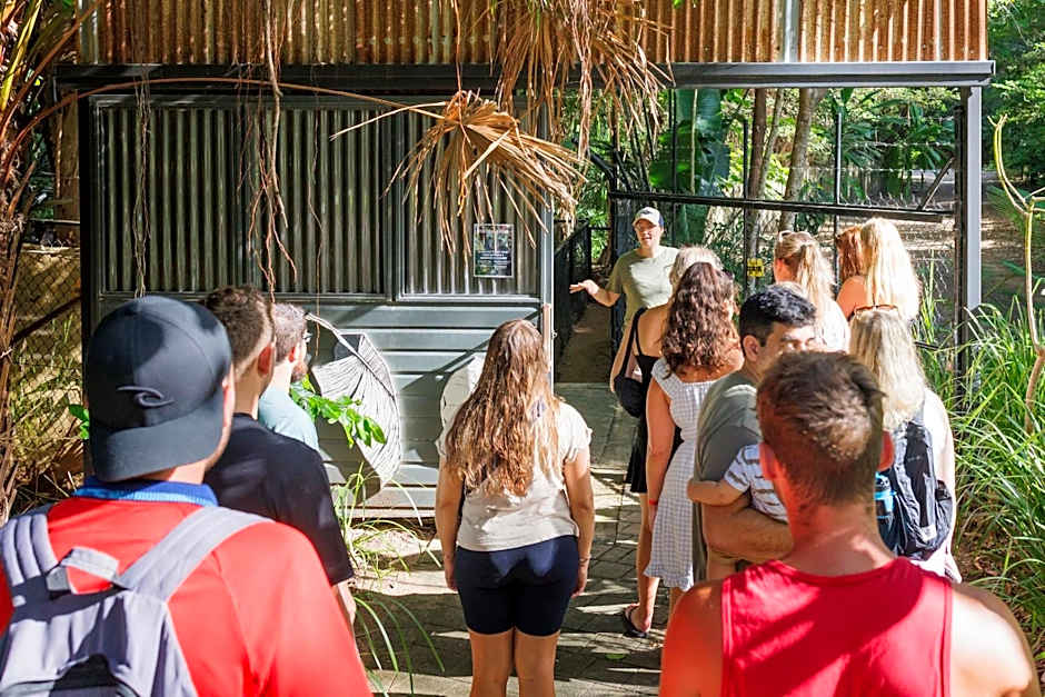 Bounce Magnetic Island and Koala Park