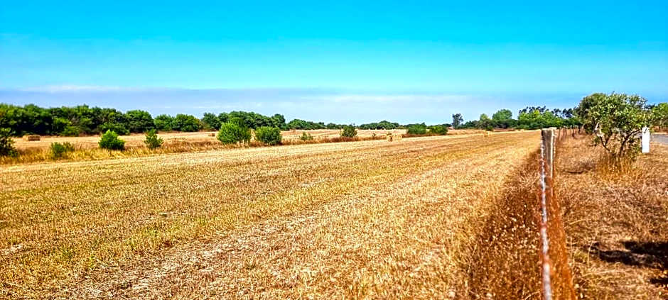 Herdade Moita Mar - Country & Sea