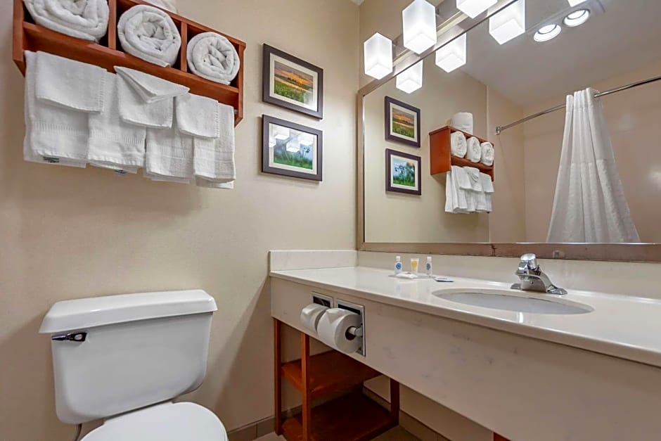 Comfort Inn Grand Island North