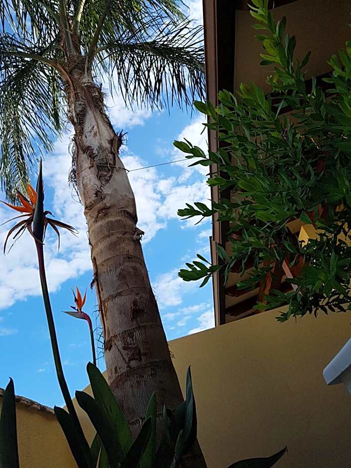 B&B Aloe Comfort Rooms