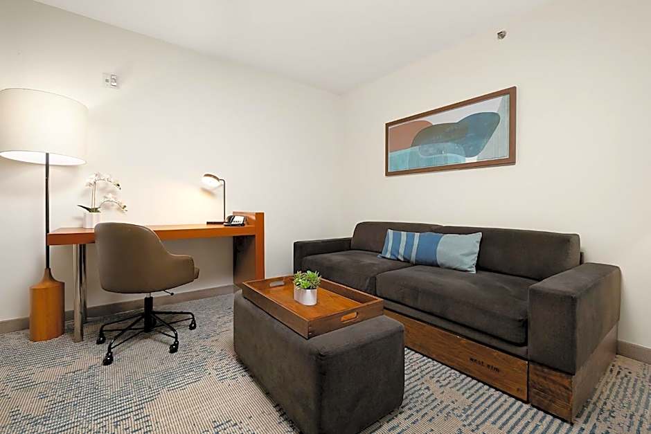 SpringHill Suites by Marriott McAllen Convention Center