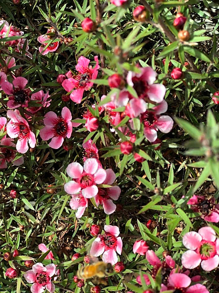 The Inn at the Tides