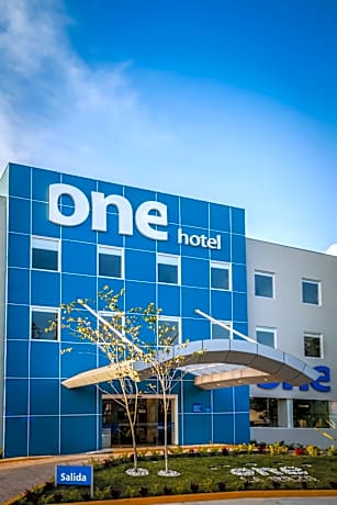 One Ciudad de Mexico La Raza