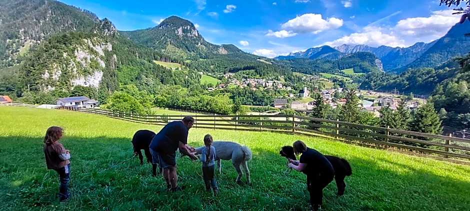 Gasthof International