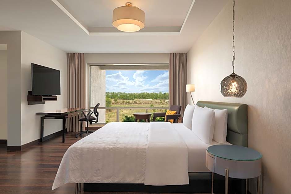 Photo 1 of 7 of Deluxe 1 King Bed, City View