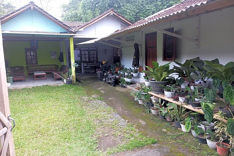 Homestay Wijaya Mulya