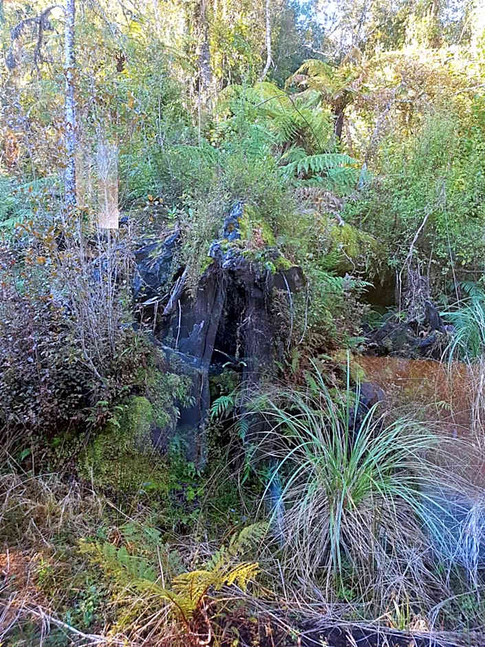 Aspen Court Franz Josef Motel