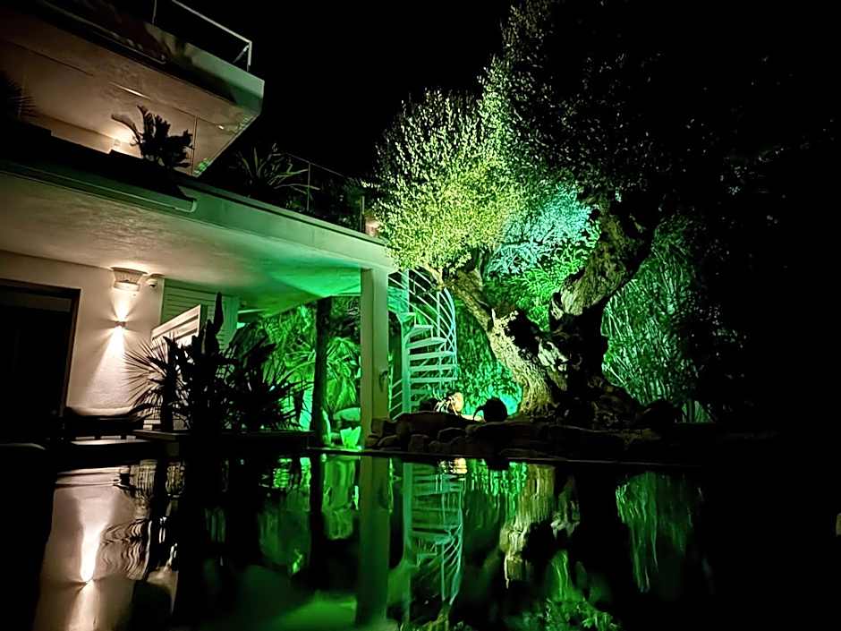 VILLA MIAMI