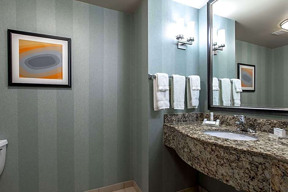 Hilton Garden Inn Lynchburg