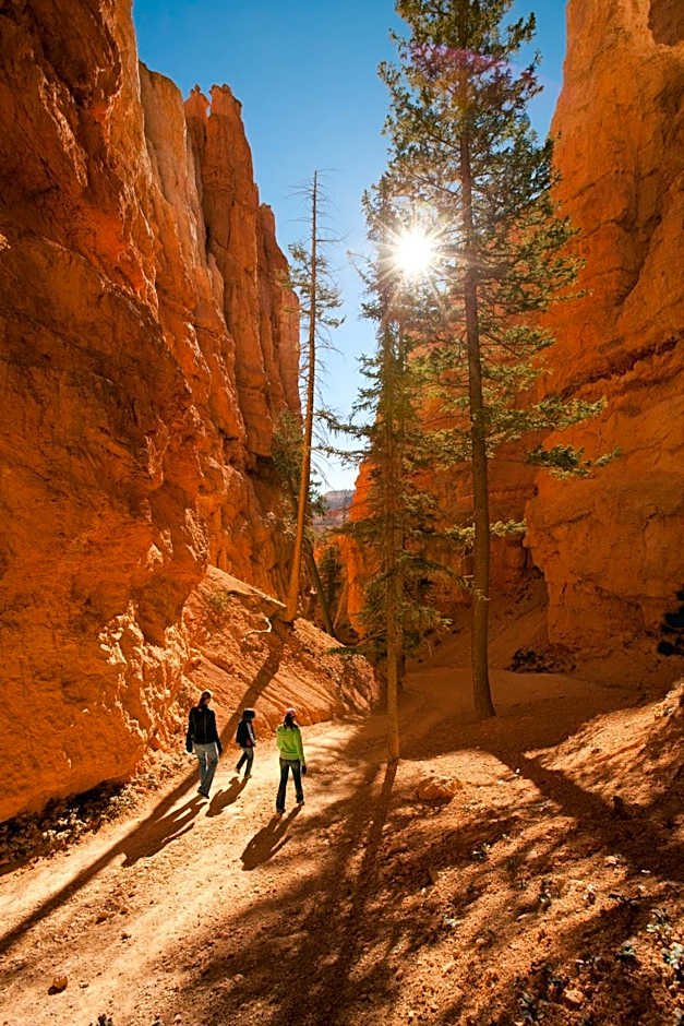 Park Inn by Radisson Salt Lake City -Midvale