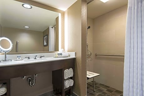 2 Double Accessible Roll in Shower