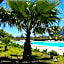 APELLA HOTEL