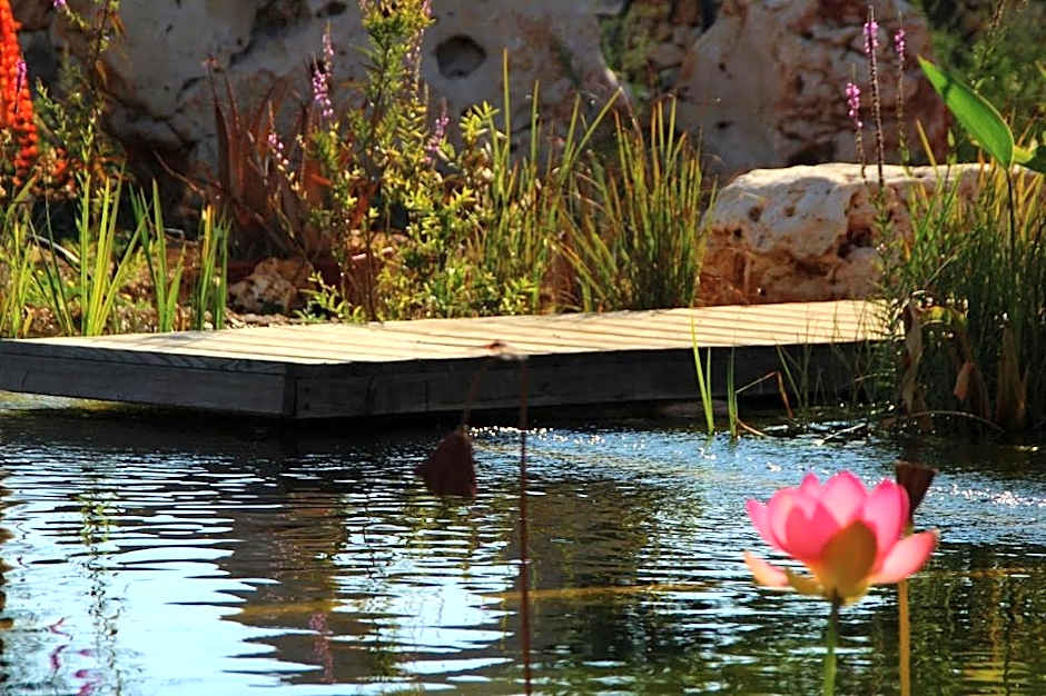 Il Fiore della Vita Trulli Country house