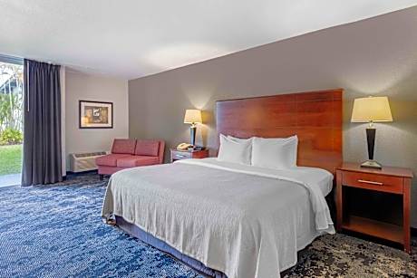 1 King Bed, Nonsmoking