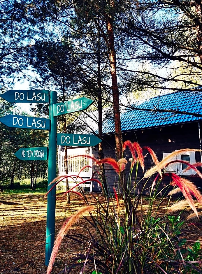 Domki Między Drzewami