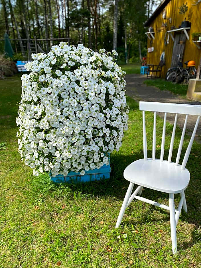 Torgu Royal Guesthouse