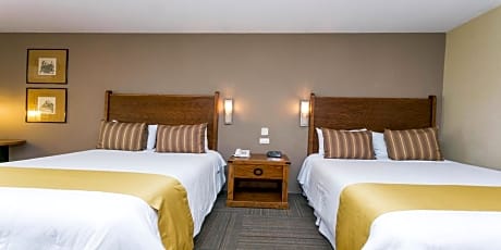 Standard  Room