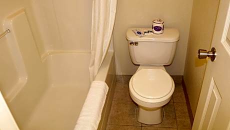 1 Bedroom with King Bed