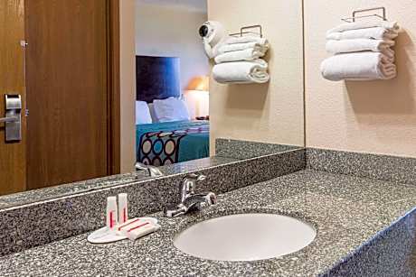 1 Queen Bed Accessible Room Non-Smoking