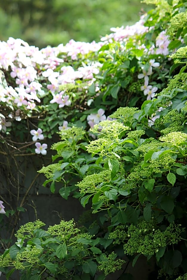 Le Chemin du Village