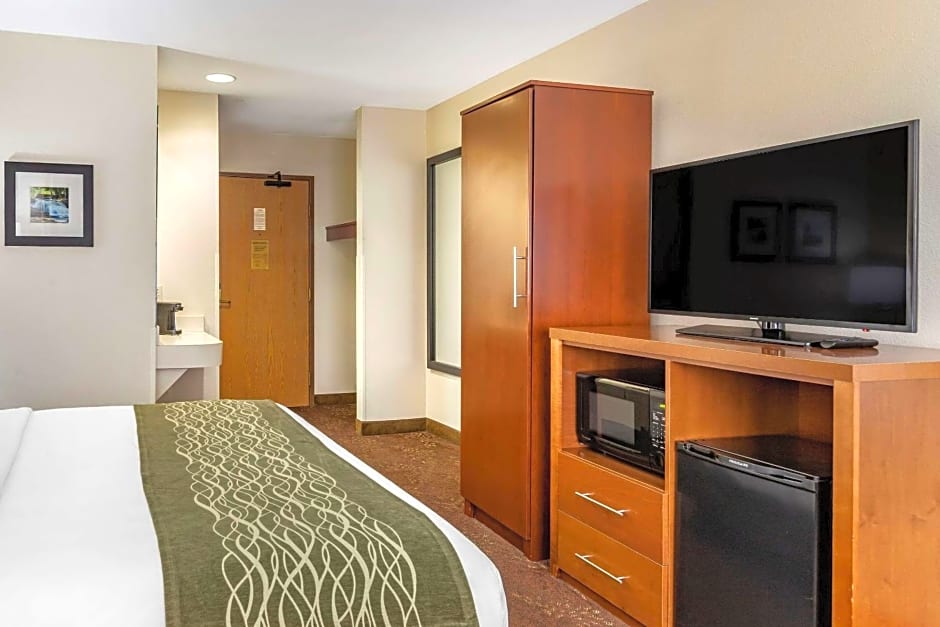 Comfort Inn Okemos - East Lansing