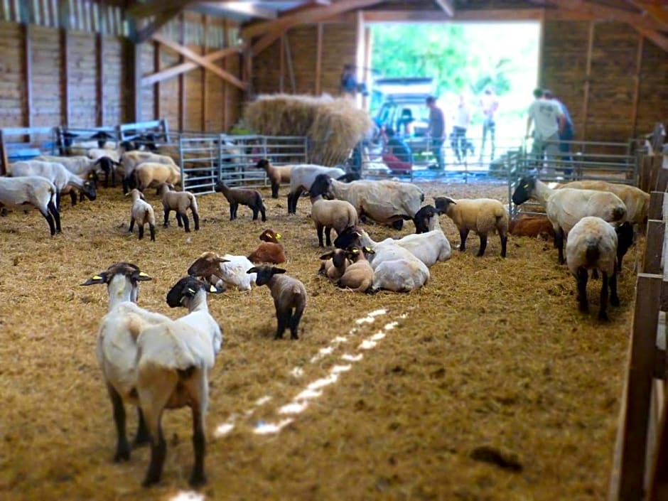 La Ferme du Vincin – Vannes, MN