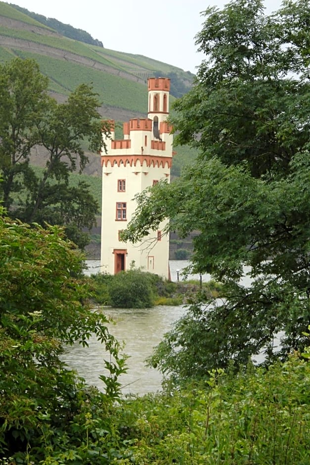 Hotel Gasthof Schuster und Gästehaus