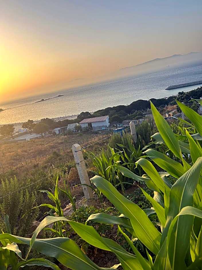 منزل قريب من الشاطئ