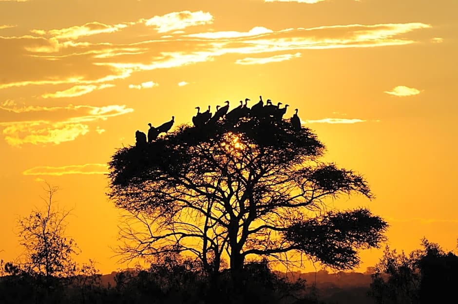 Morokolo Safari Lodge Self-catering