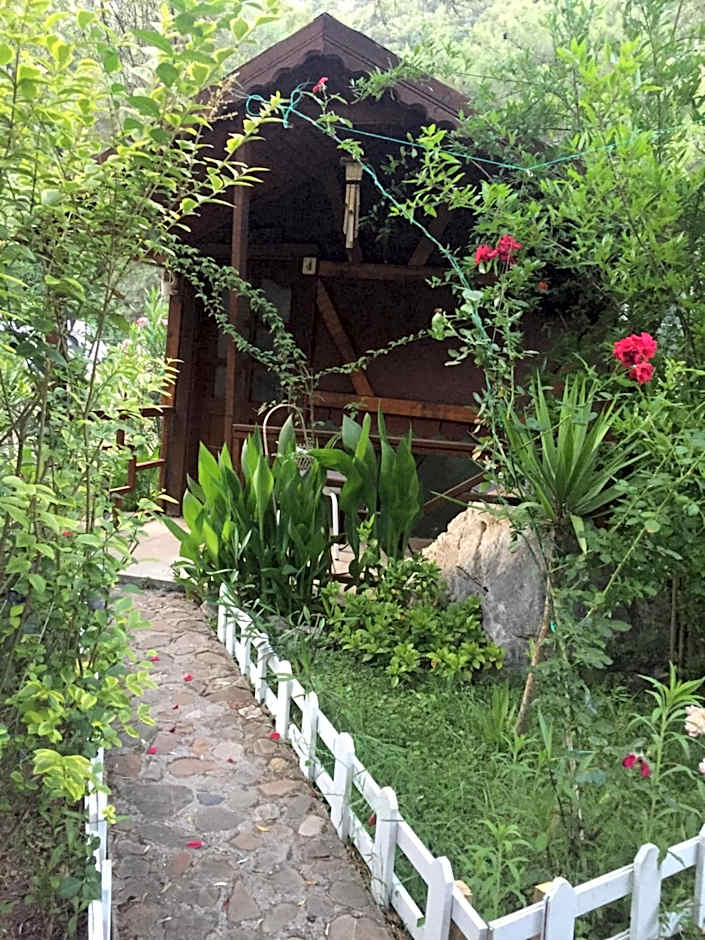 Canario Bungalows