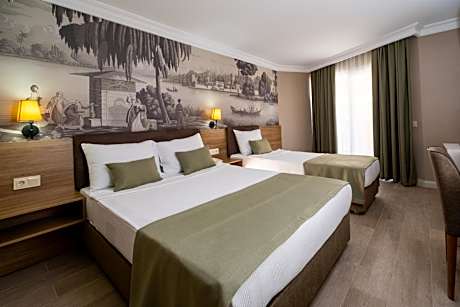 Standard Double or Twin Room