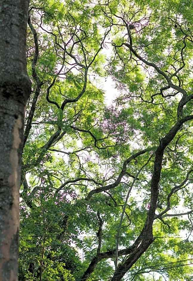 Tulia Boutique Hotel & Spa