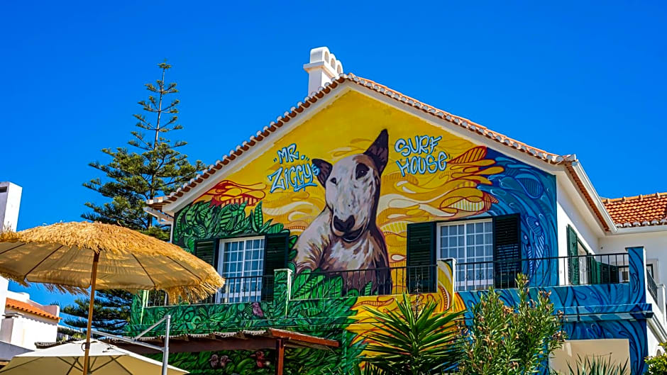 Mr Ziggy's Surfhouse