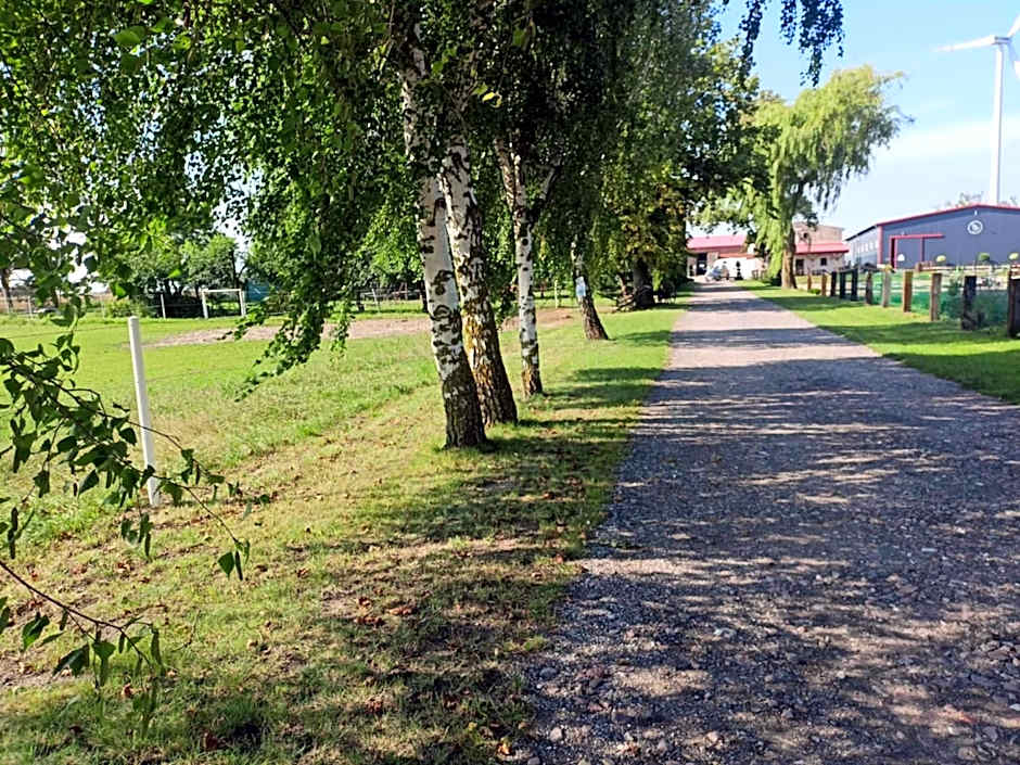 Domek 1 w Rancho Żnin